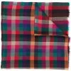 ETRO checked scarf