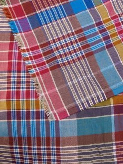 ETRO écharpe Selvedged