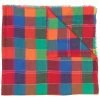 ETRO écharpe à carreaux