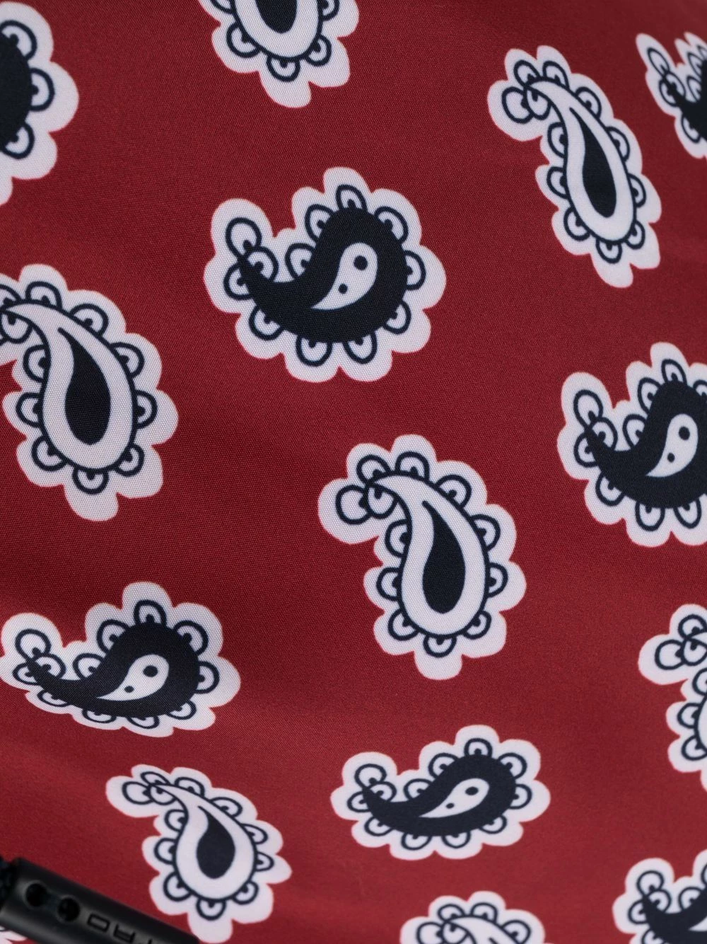 ETRO Short de bain à imprimé cachemire Assurance De l’Authenticité shorts de bain homme 3 ETRO short de bain à imprimé cachemire